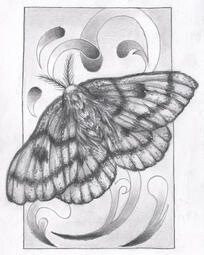 Moth